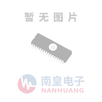 NS10165T3R3NNV8图片